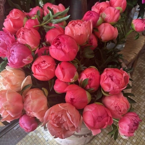 Bouquet of vibrant peonies blooming at a Paris flower shop, perfect for Mother’s Day brunch inspiration.