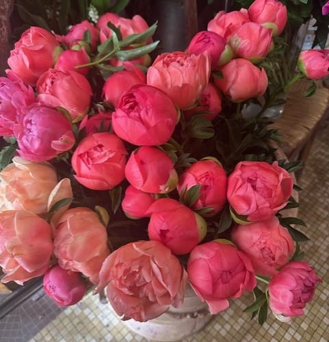 Bouquet of vibrant peonies blooming at a Paris flower shop, perfect for Mother’s Day brunch inspiration.