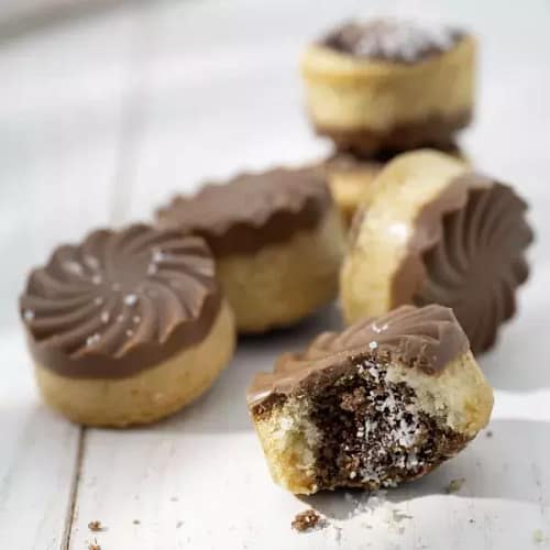 Chocolate Coconut Bites with flower-shaped chocolate tops, coconut cake centers, and a cocoa swirl filling on a white surface.